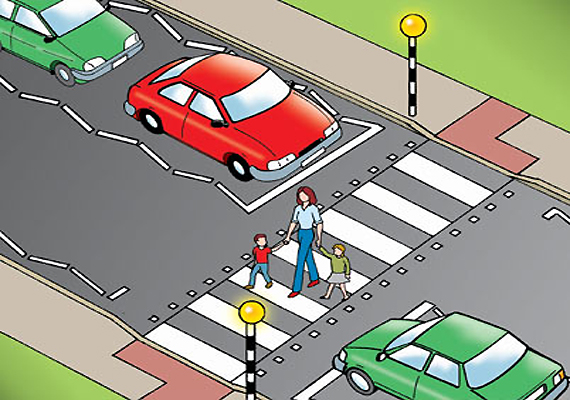 Safety &  Road  Transport (RSP)